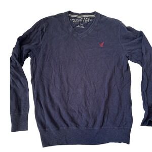 American Eagle Outfitters Mens Navy Blue V Neck Long Sleeve Sweater L Eagle Logo